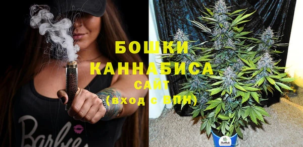 ГАЛЛЮЦИНОГЕННЫЕ ГРИБЫ Белокуриха
