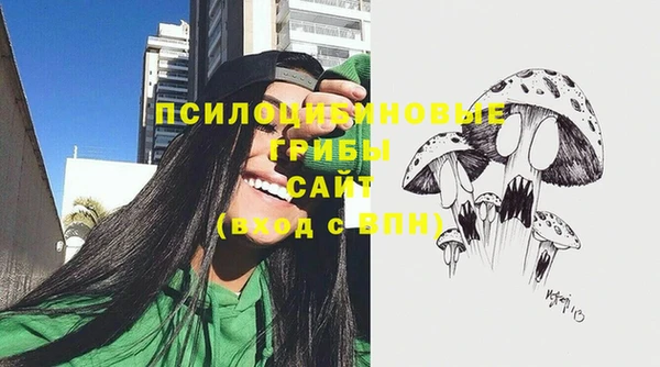 ГАЛЛЮЦИНОГЕННЫЕ ГРИБЫ Белокуриха