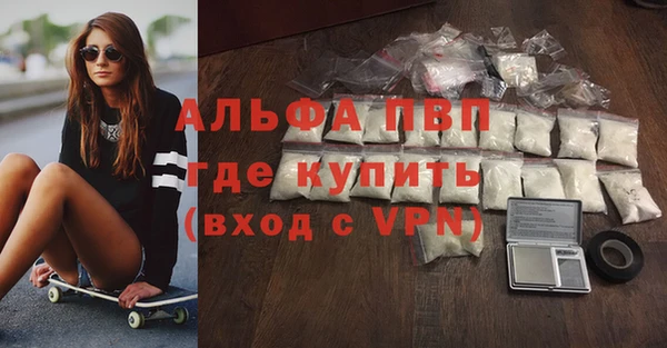 ГАЛЛЮЦИНОГЕННЫЕ ГРИБЫ Белокуриха