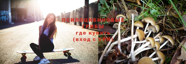 apvp Беломорск