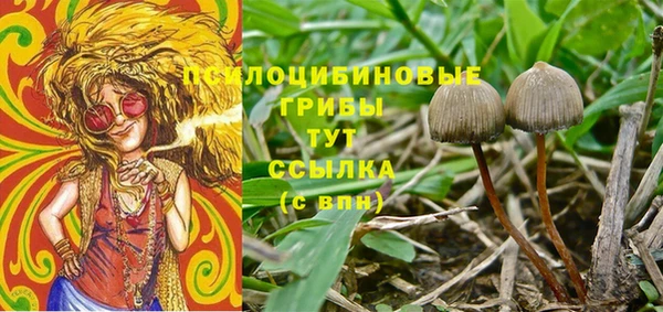 apvp Беломорск