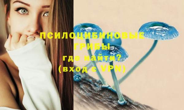 apvp Беломорск