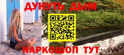 дмт Аргун