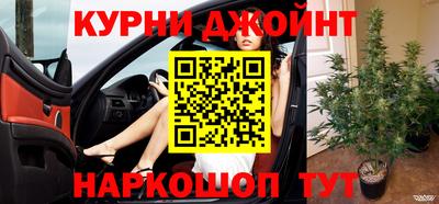 дмт Аргун